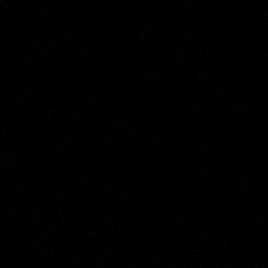 Meet your Posher, Dalton